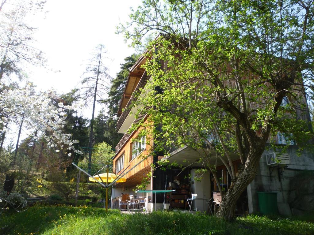 Pension Casa Selva Trin Exterior foto